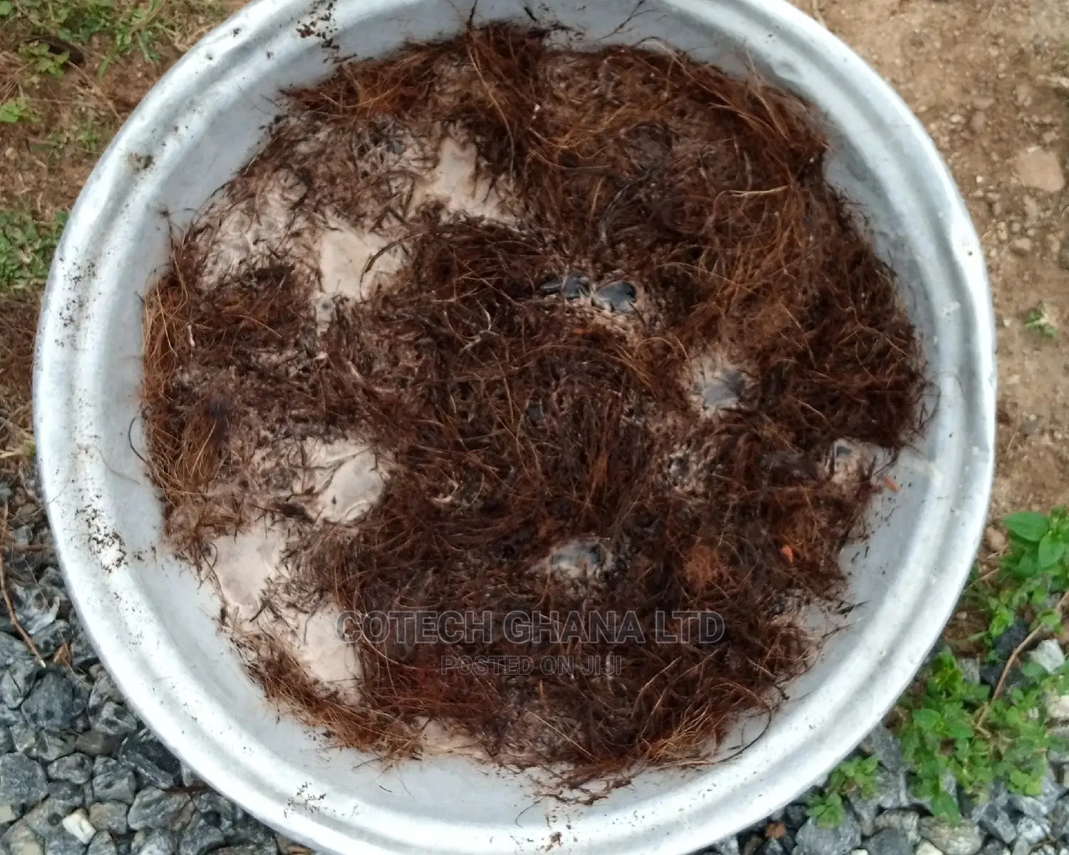 Treated Coconut Fiber for Bio Digester