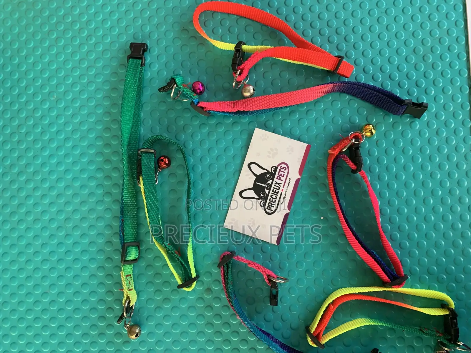 Rainbow Color Belts