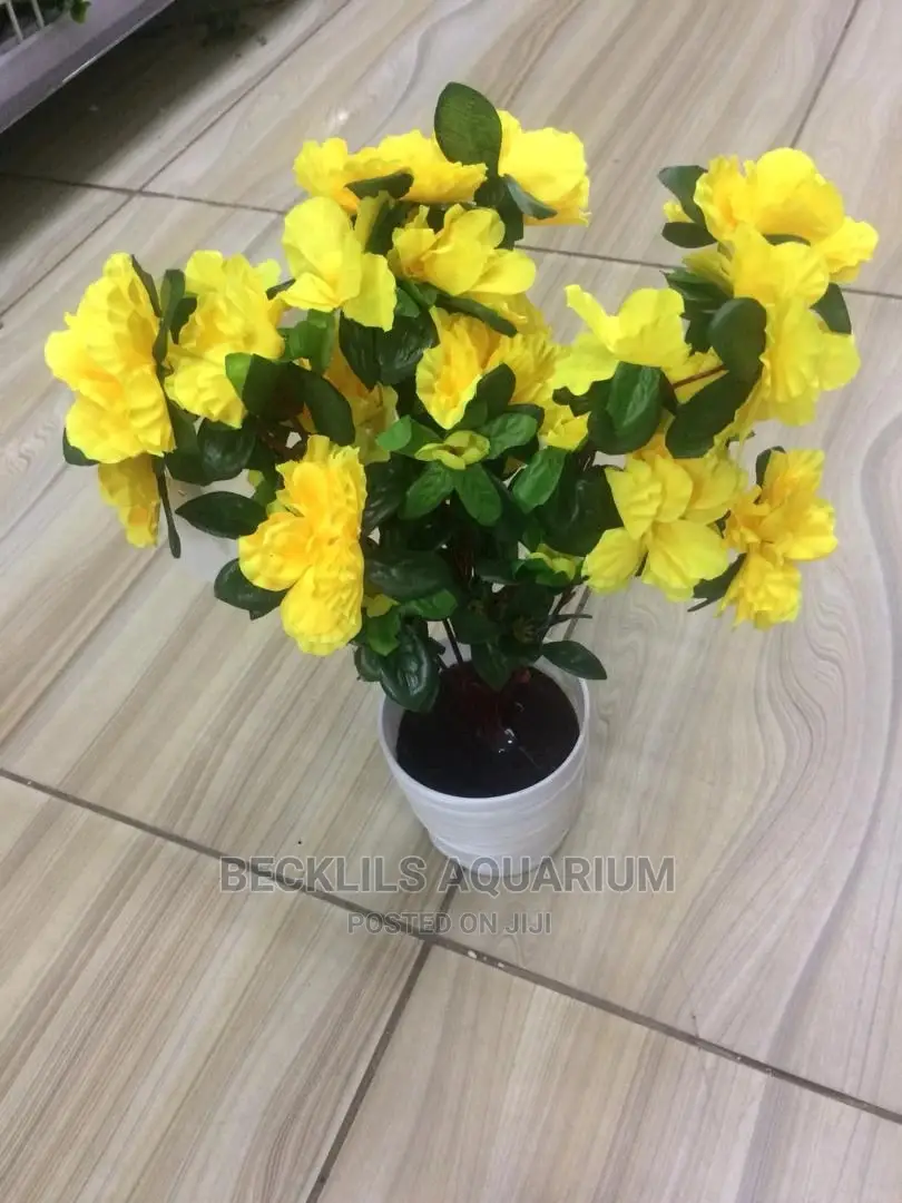 Flowers and Flower Pot