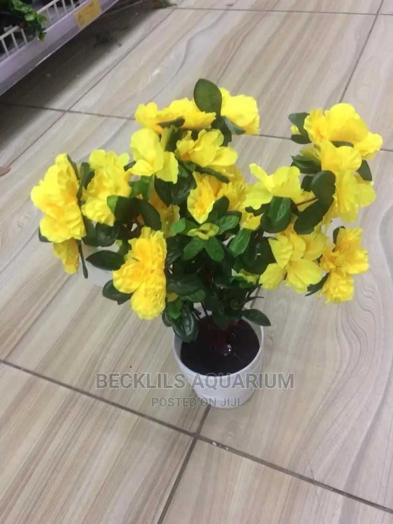 Flowers and Flower Pot
