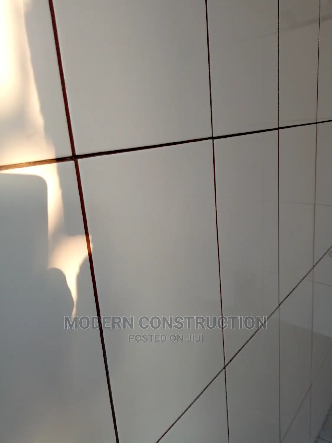 Professional Tiler