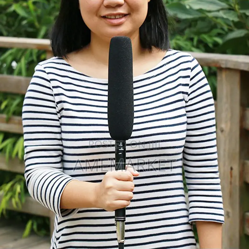 Professional Interview Microphone, Condenser. Boom Mic