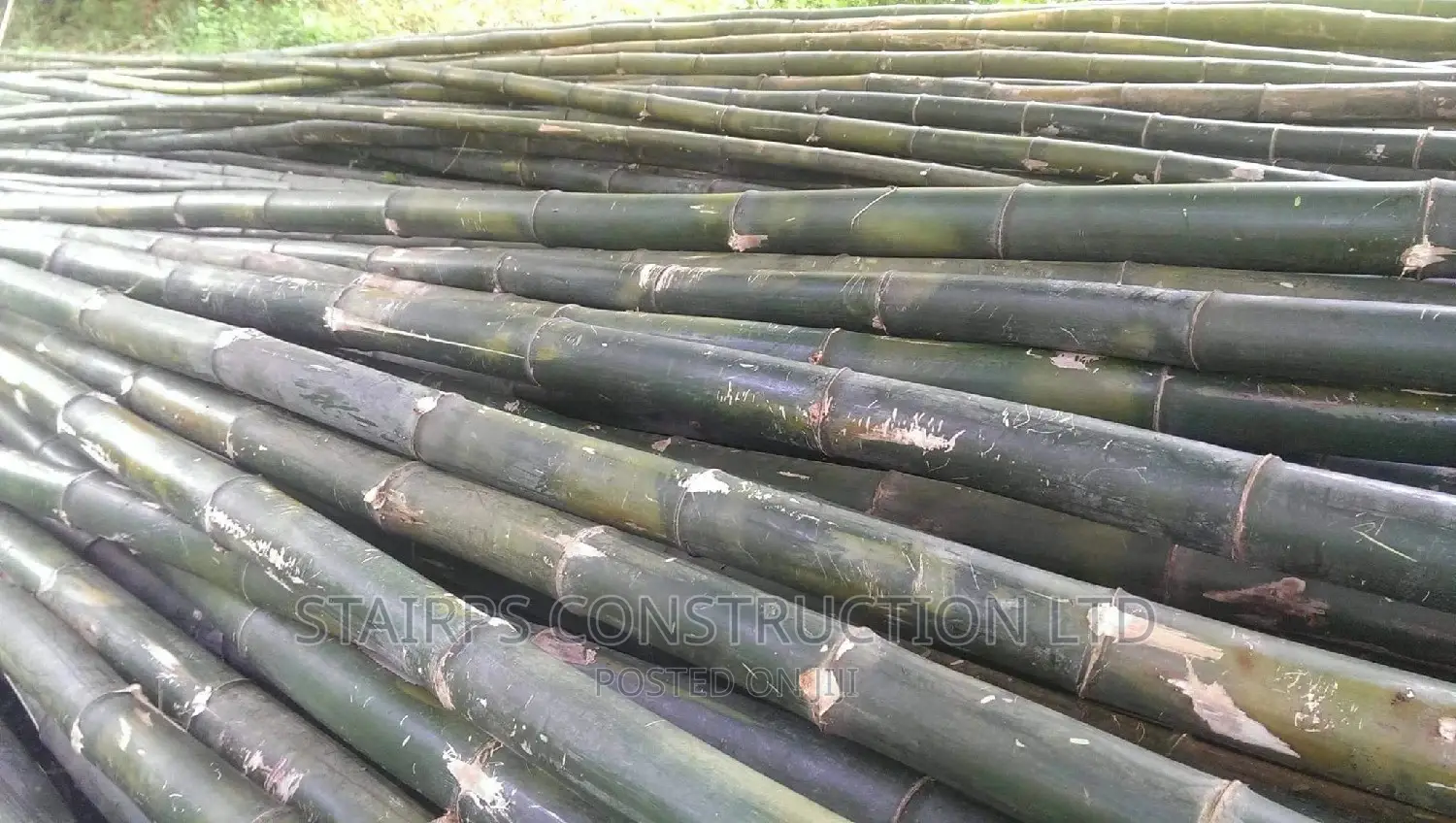 Bamboo 18ft and 20ft Available. At Different Prices.