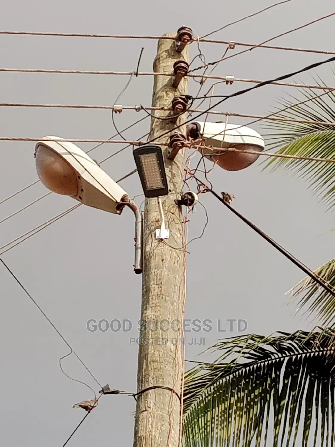 50w Street Lamp