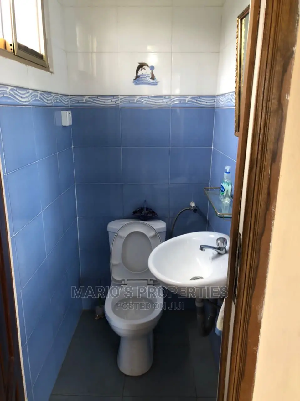Furnished 2bdrm House in Mario Properties, Labone for rent