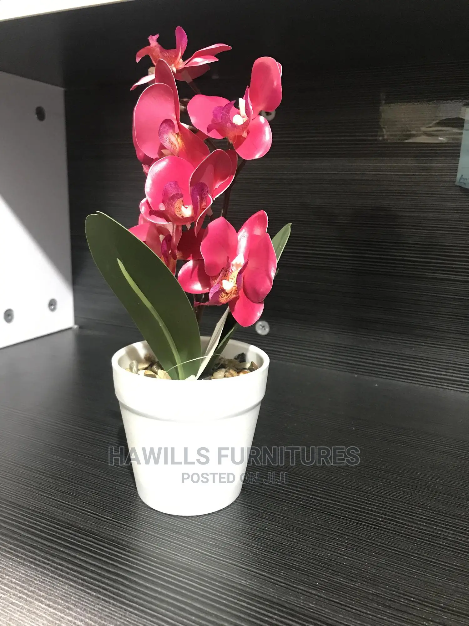 Nice Flower