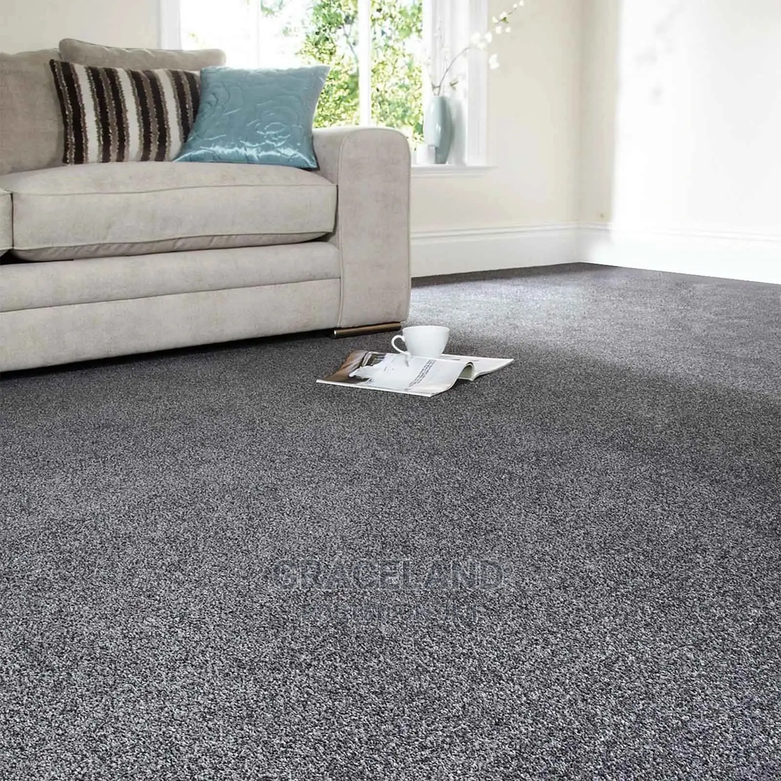 Carpet for Living Room Fluffy Bed Room Rug Home
