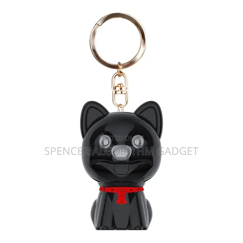 Audio Voice Sound Recorder Puppy Keyholder for Nanny Etc.