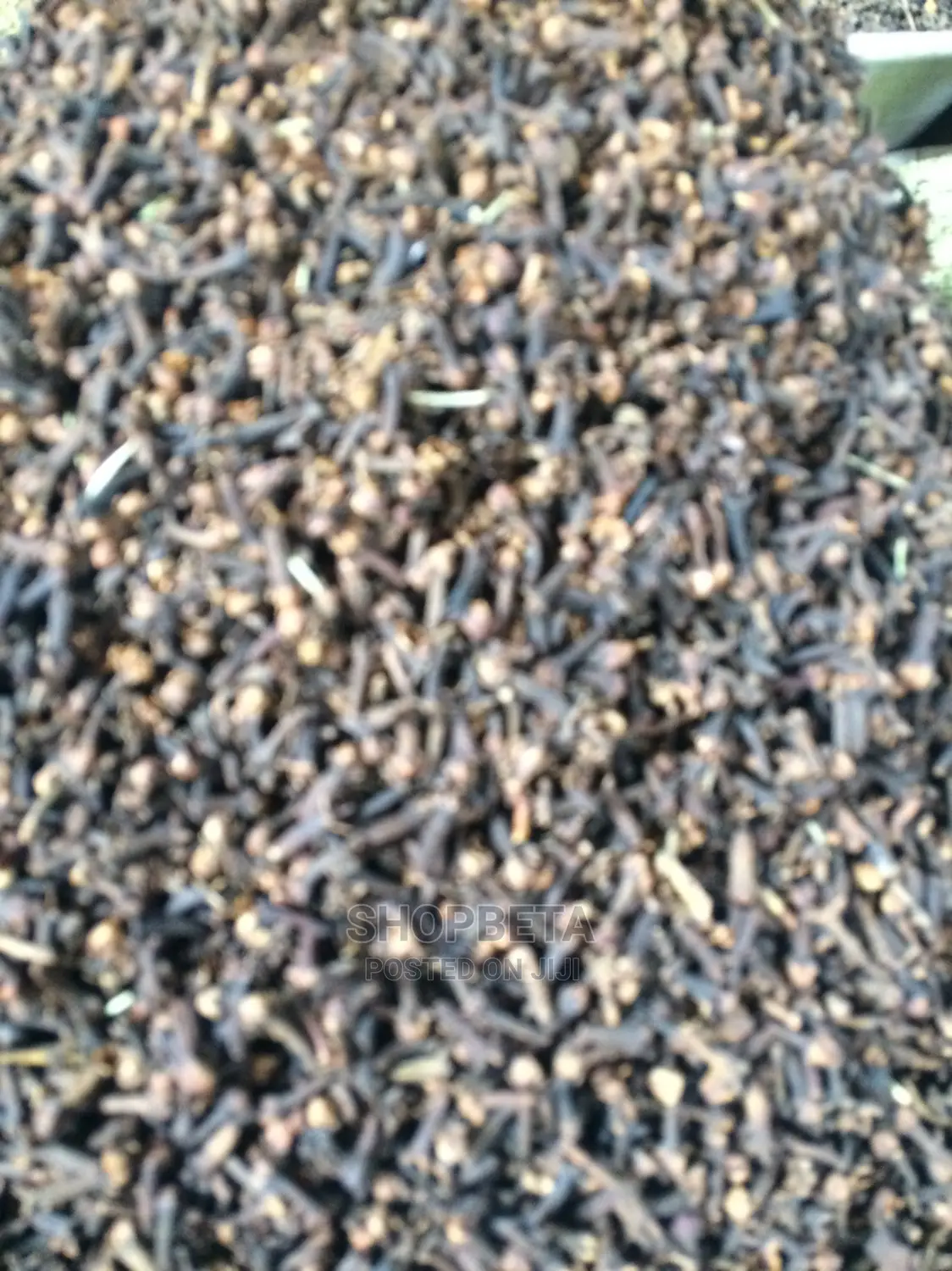 Cloves Pepiri
