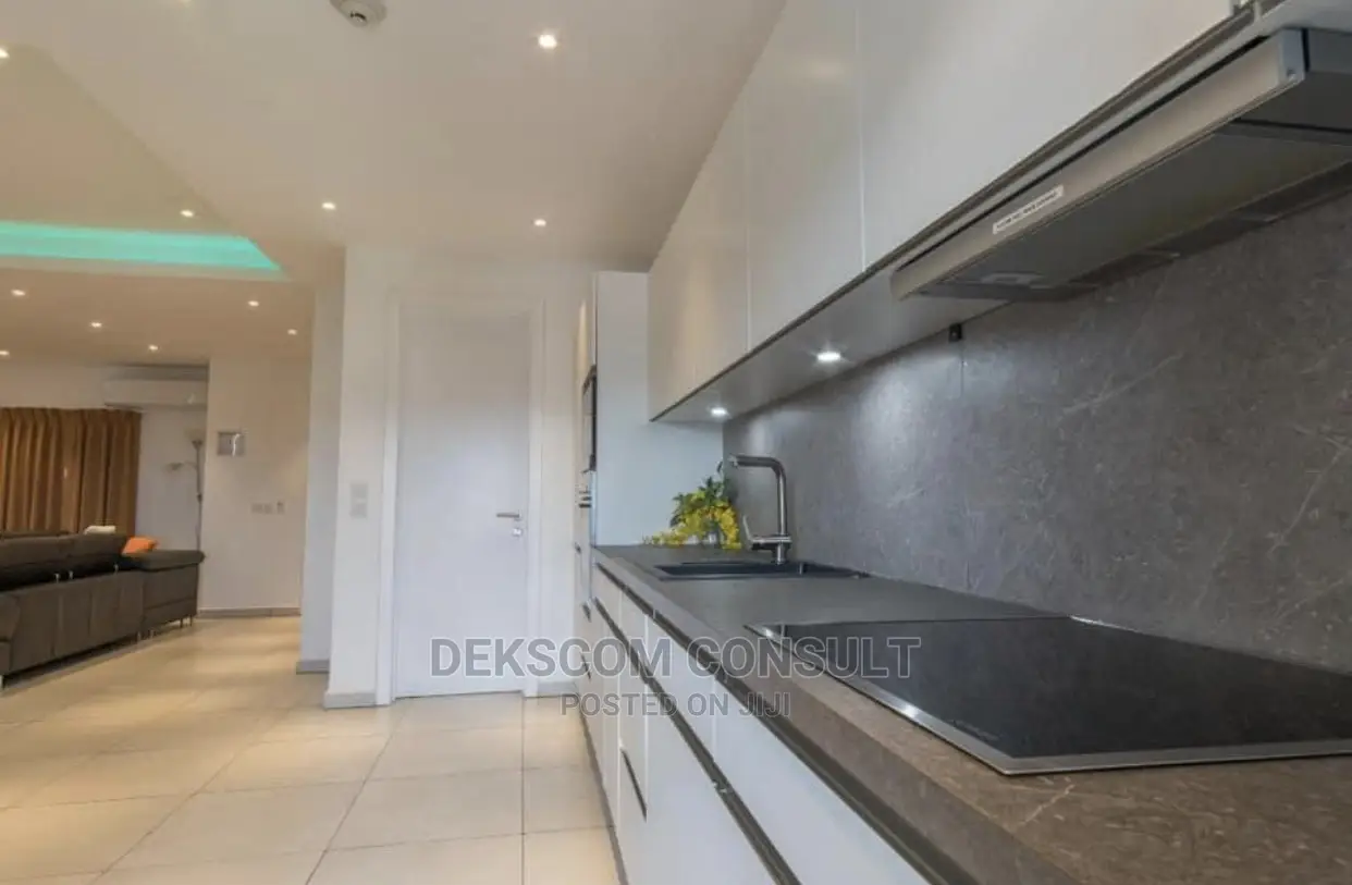 Furnished 1bdrm Apartment in Osu for rent