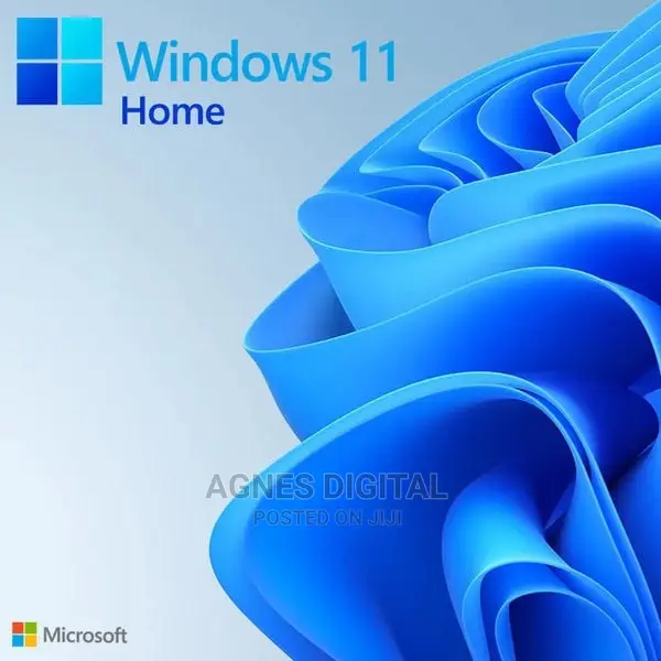 Microsoft Windows 11 Home License Key (2PC)