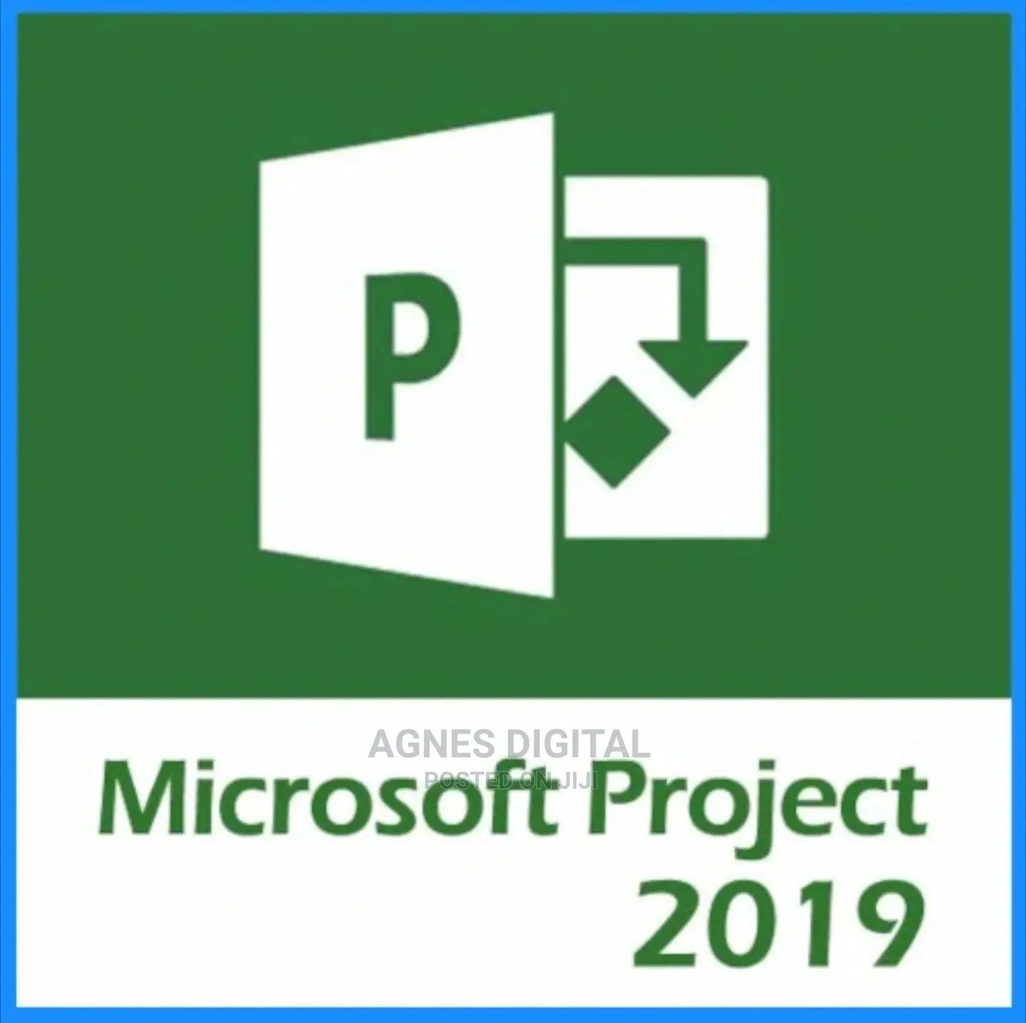 Microsoft Project 2019 Professional (3PC) License Key