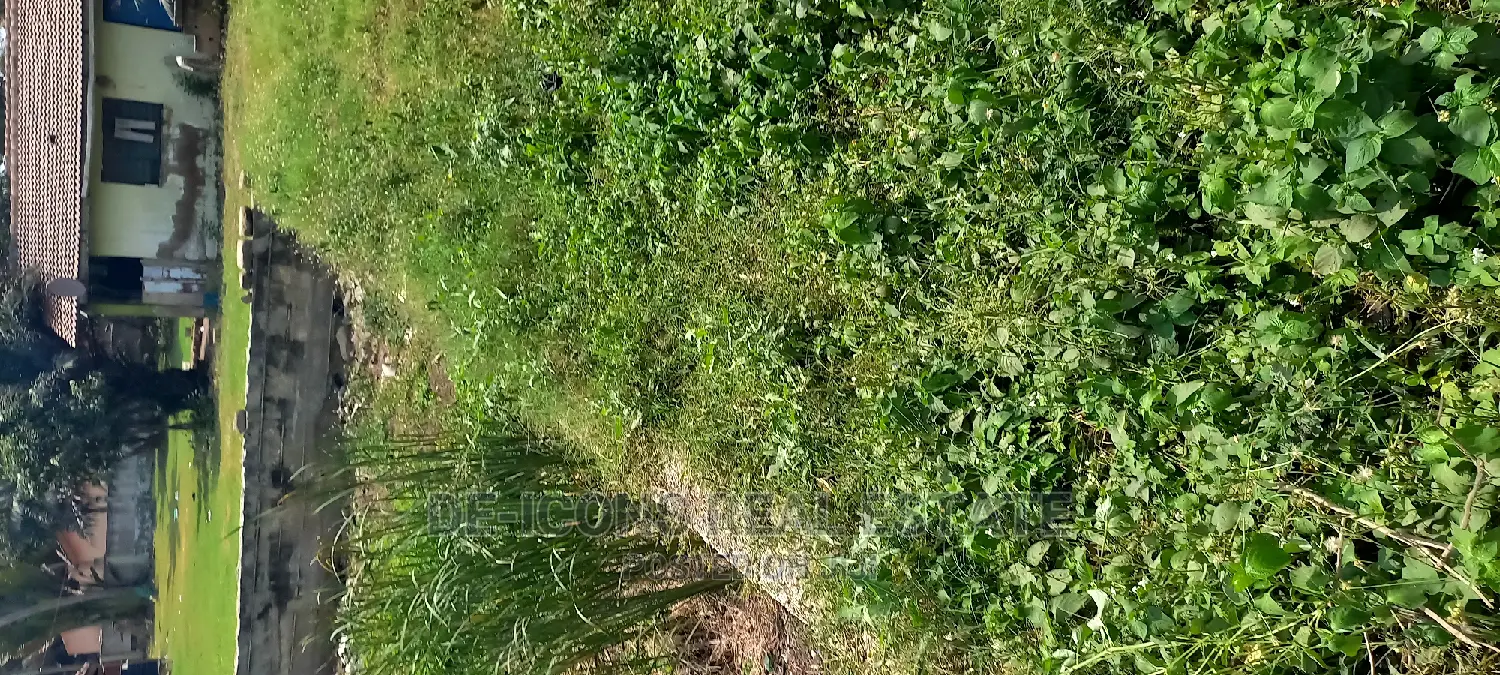 Sea -View 4 Plots of Business Land for Sale