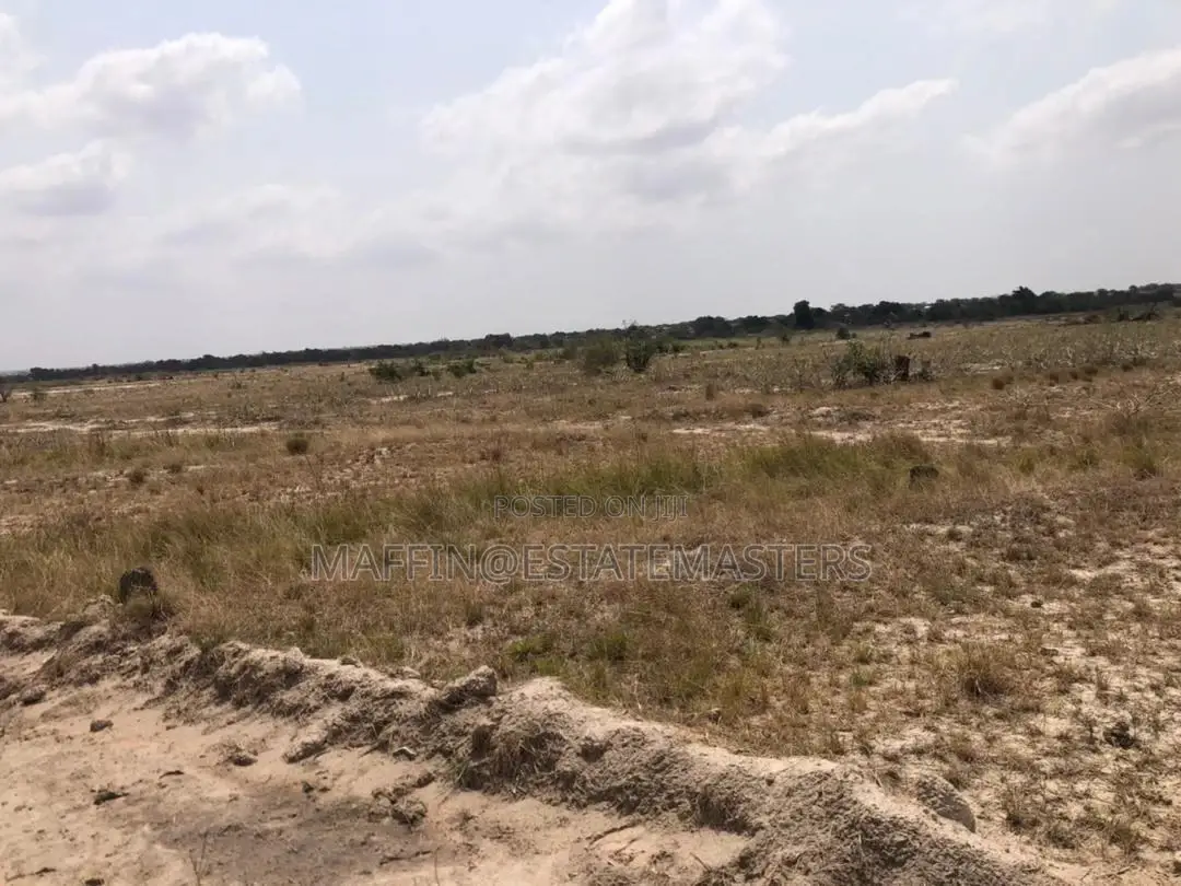 Plain and Flat Land for Sale at Tsopoli