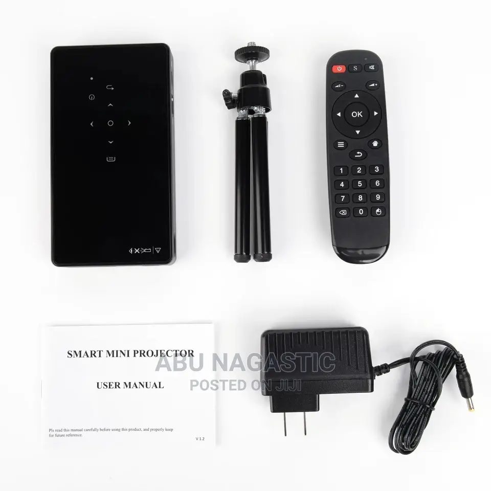 DLP Portable Mini Projector