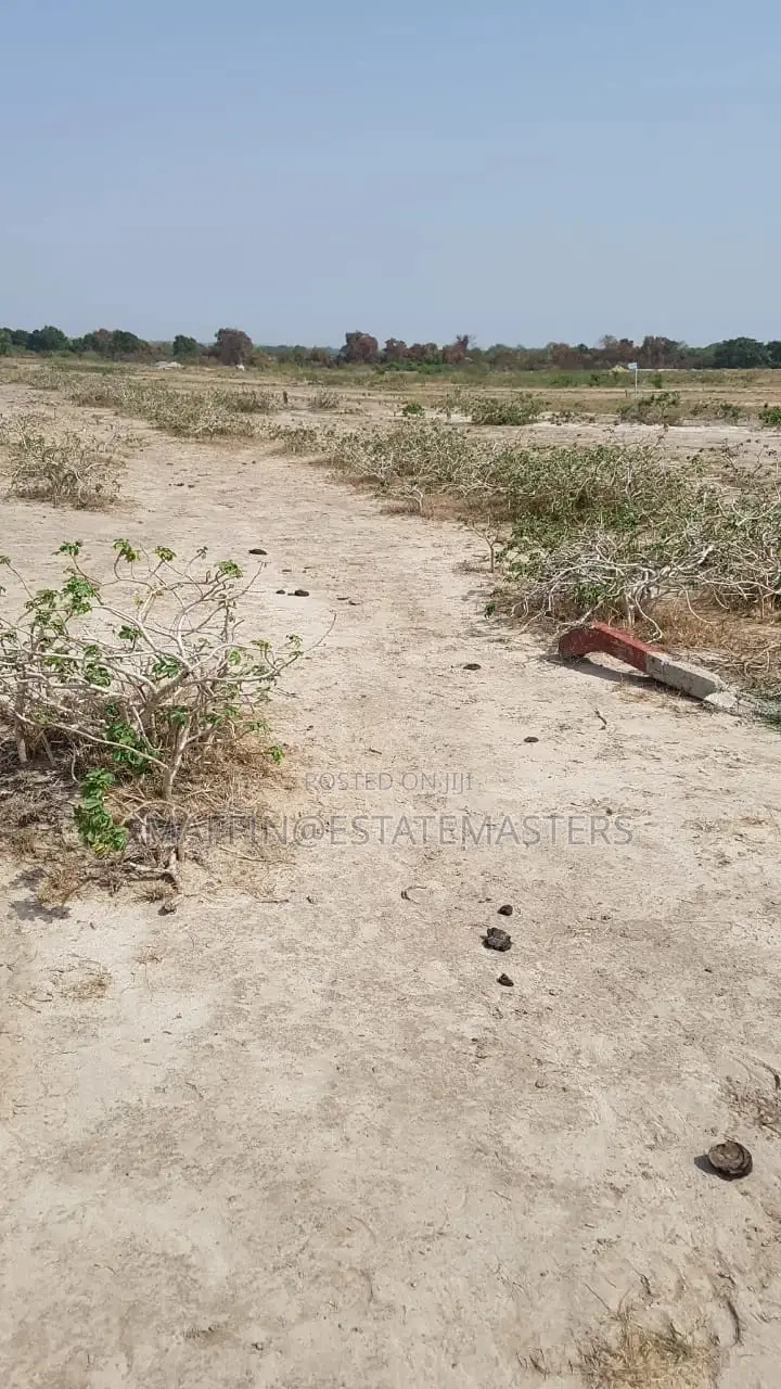 A 70x100 Demarcated Plot for Sale at Nest Cottage, Tsopoli.