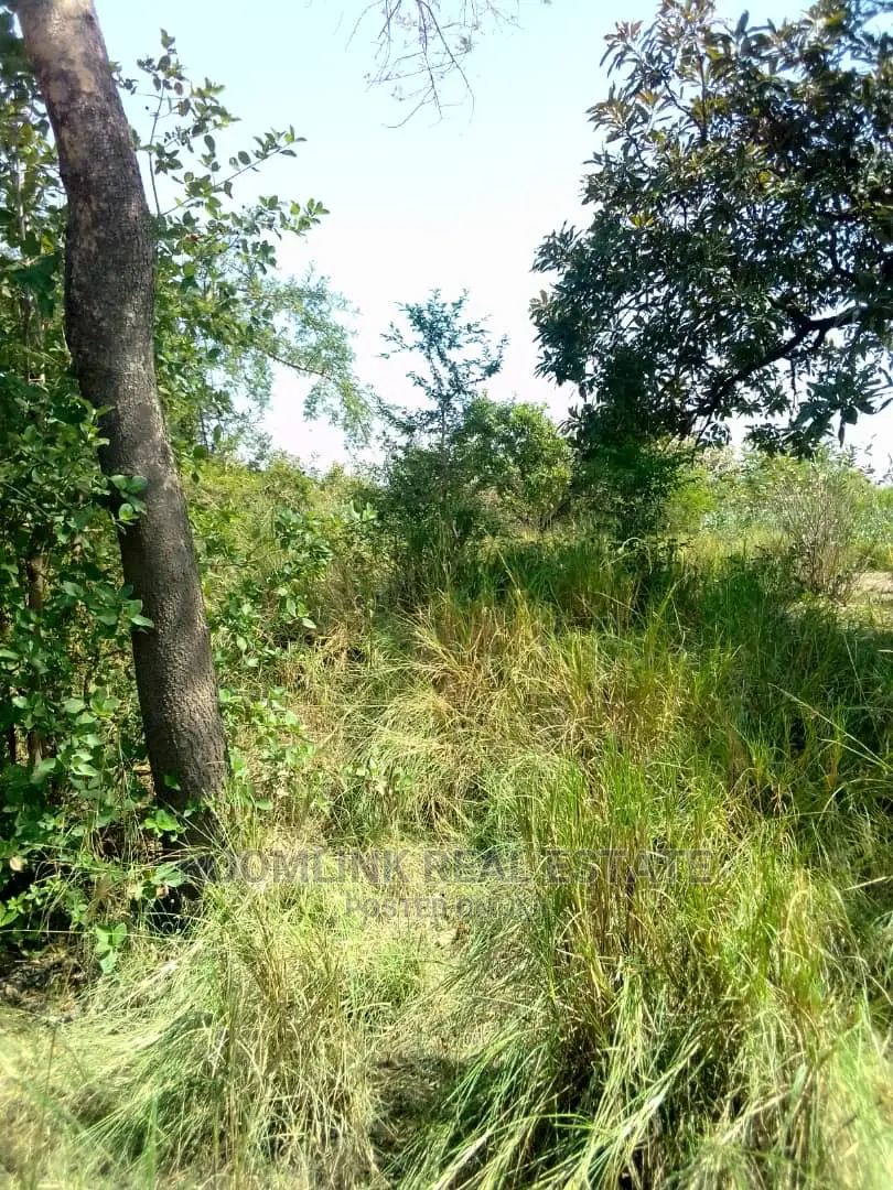 Farmlands Land at Kintampo