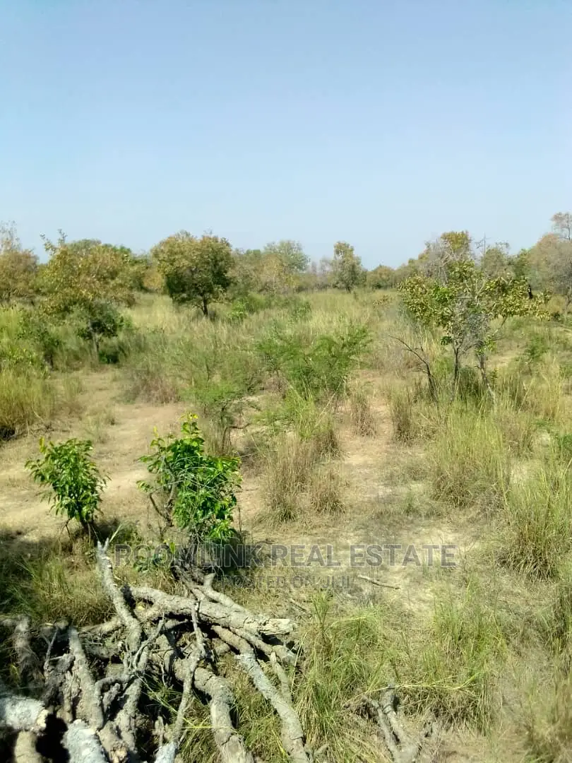 Farmlands Land at Kintampo