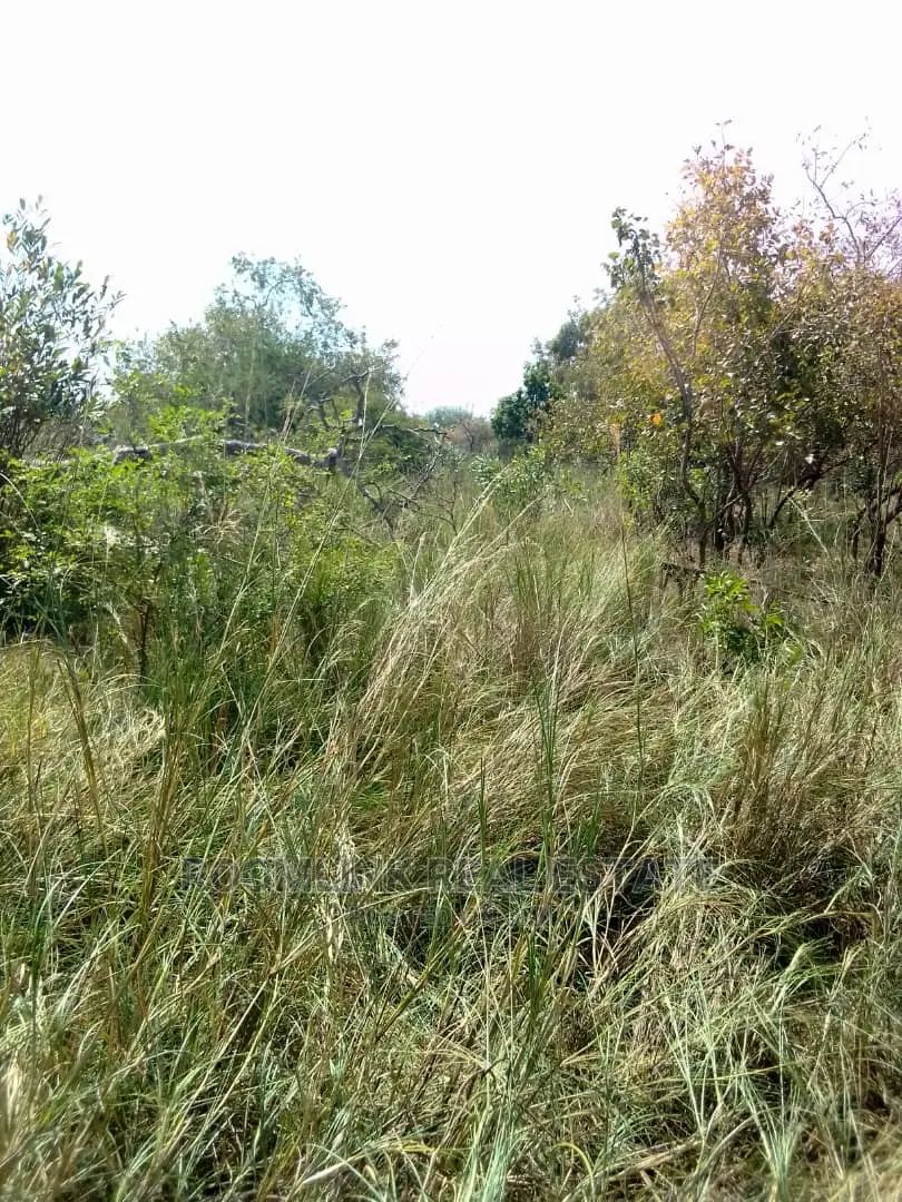 Farmlands Land at Kintampo