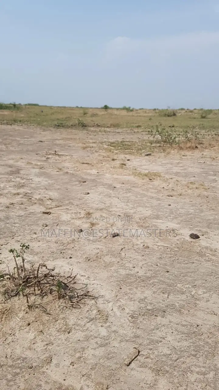 Interest Rate Drop "Land for Sale"