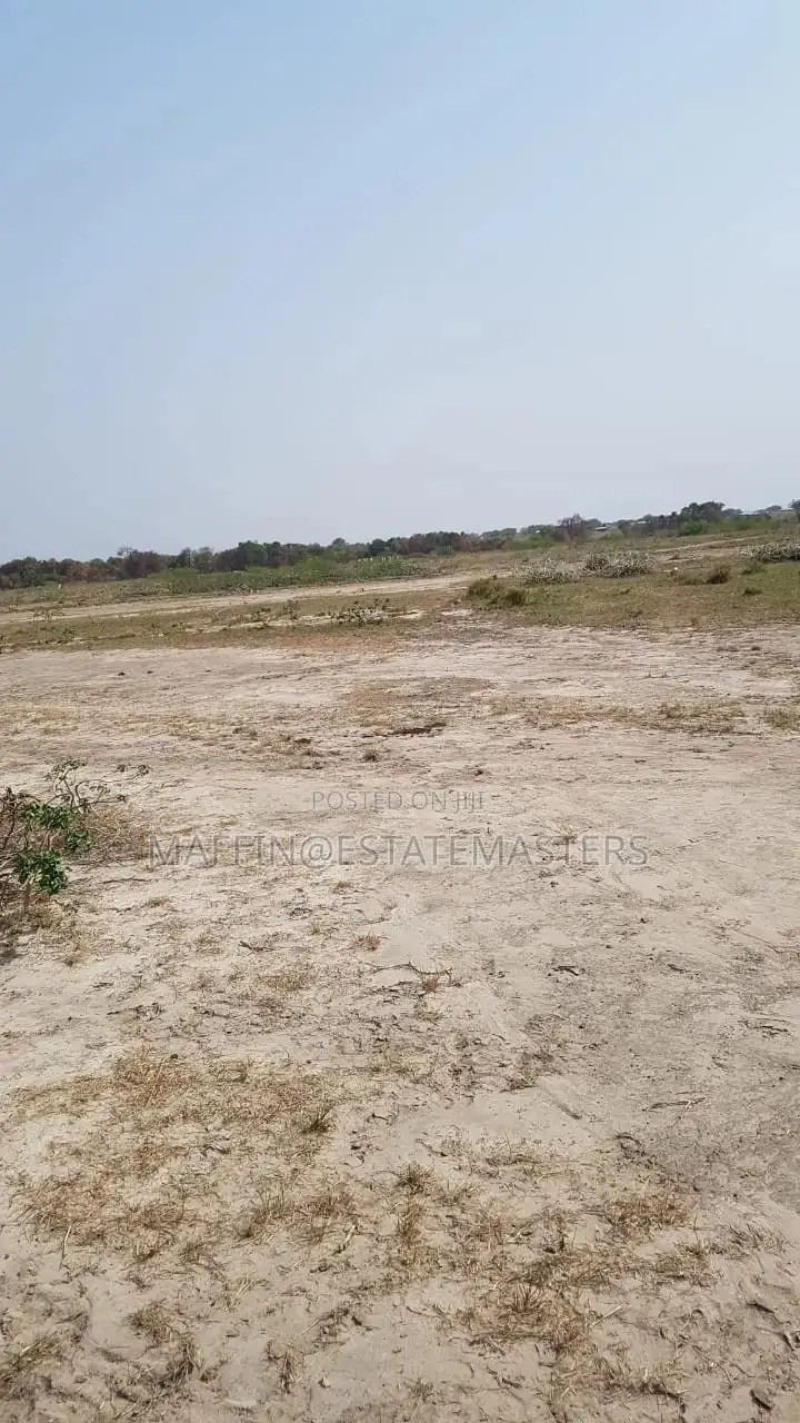 Interest Rate Drop "Land for Sale"