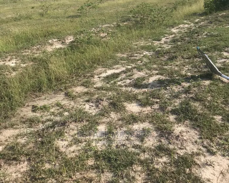 Intensified Immovable Property for Sale, Tsopoli