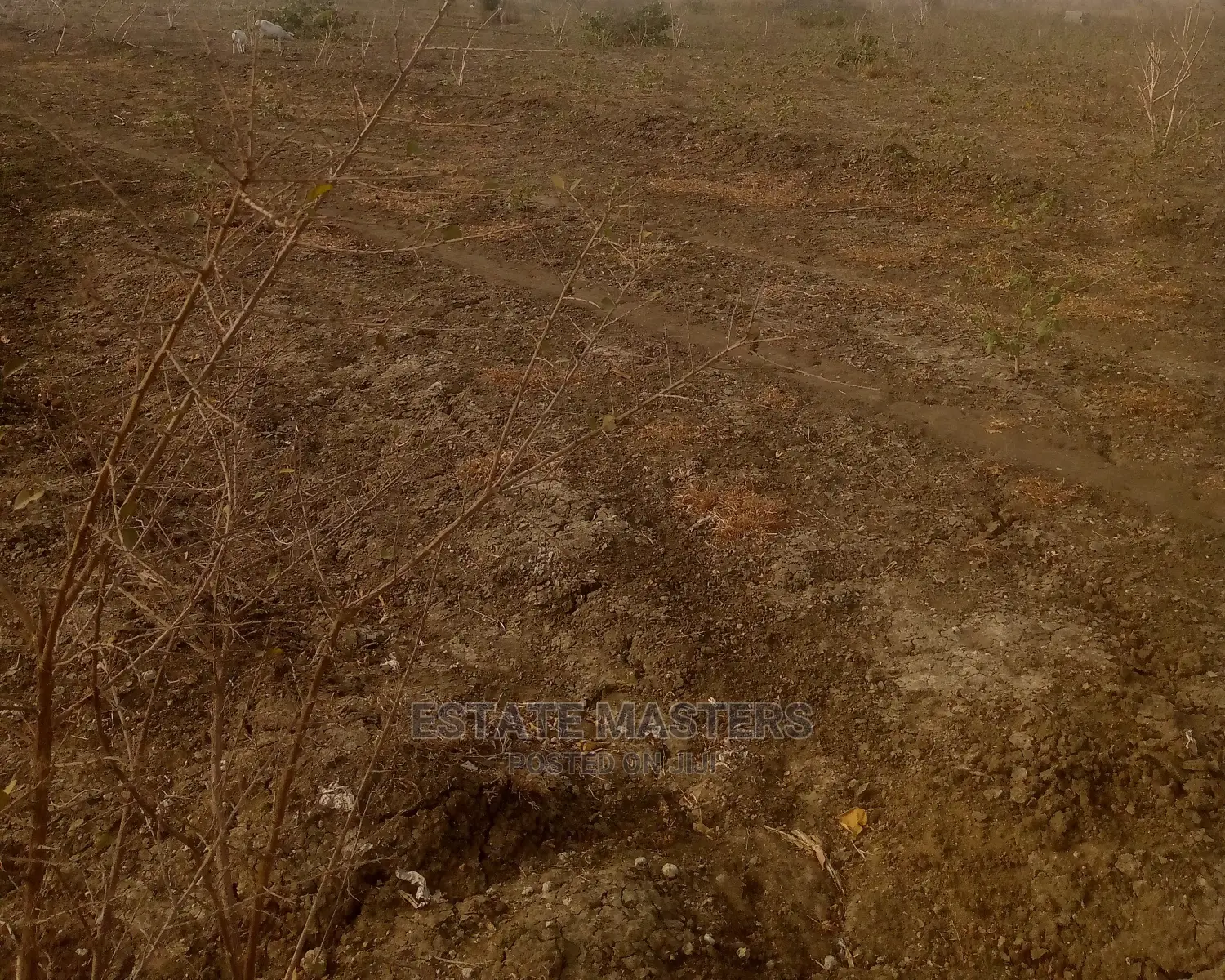 An Illustrious Land for Sale.