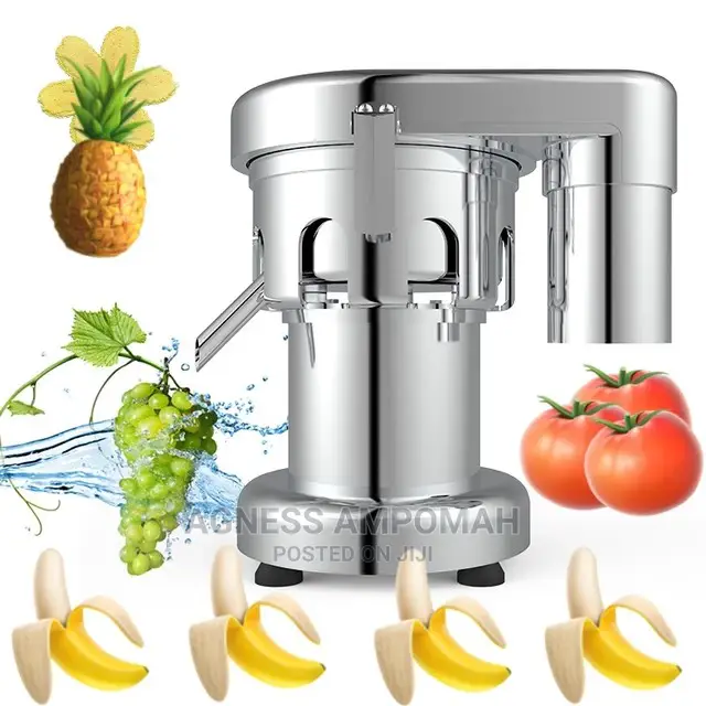 Commercial Fruit Juicer