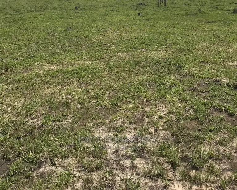 Highly Remarkable Genuine Lands for Sale.