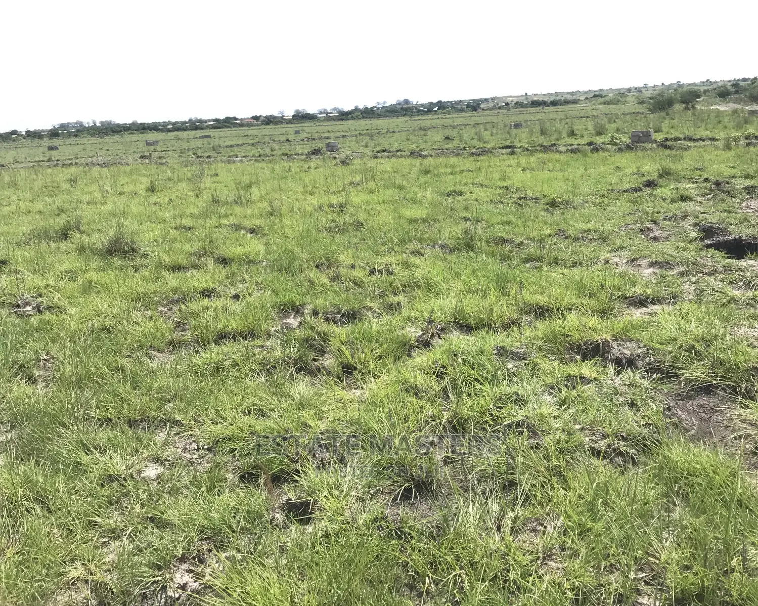 Become a Landowner Today