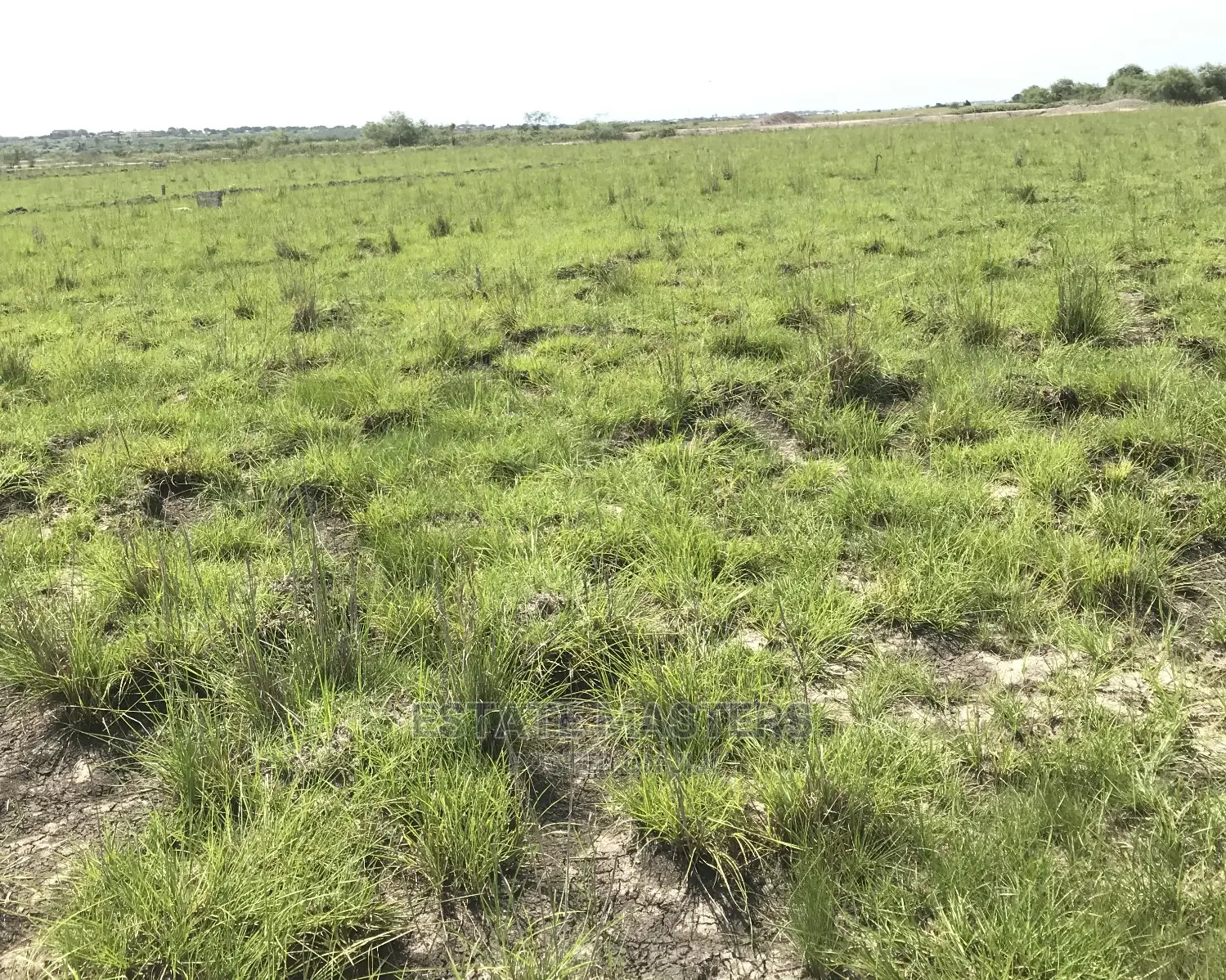Become a Landowner Today