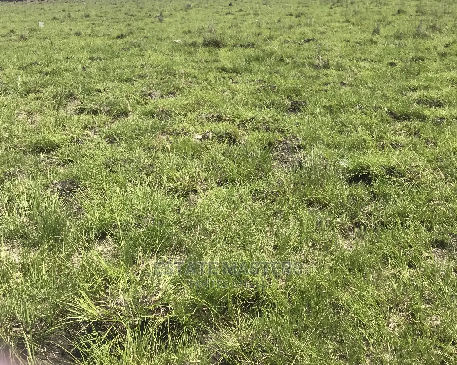 Latex Multipurpose Titled Lands for Sale.