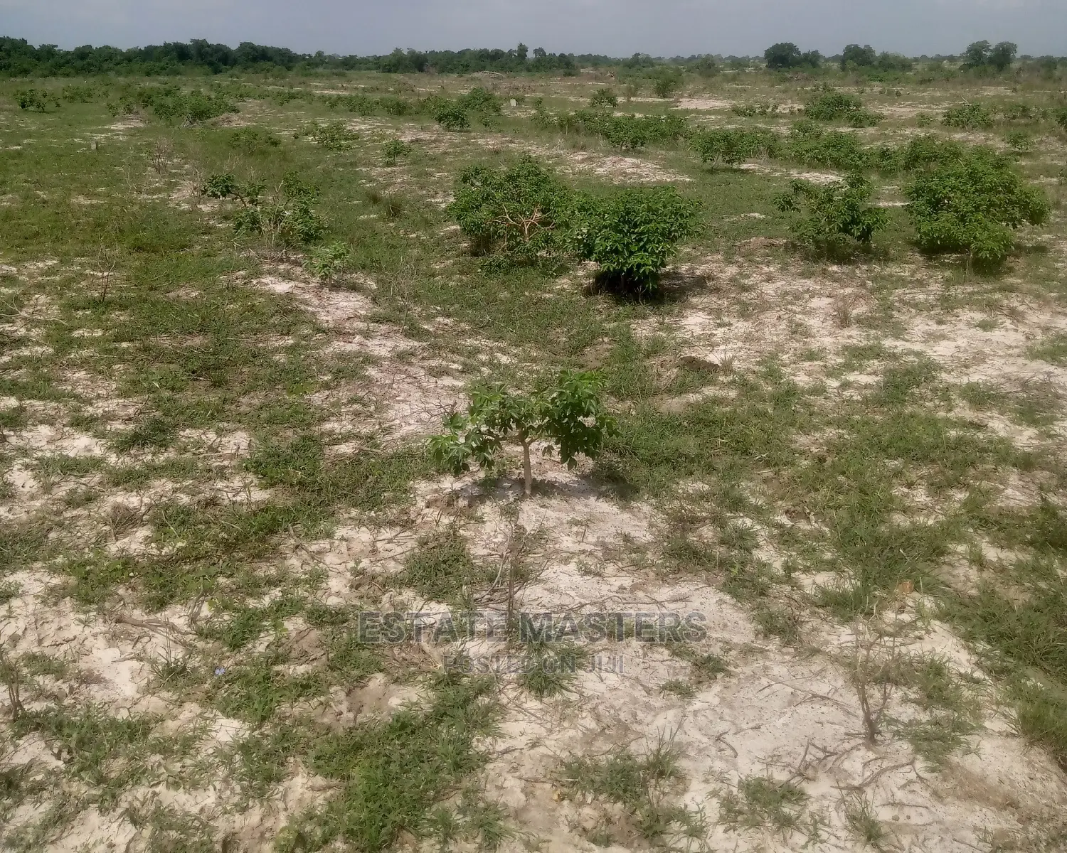 Prime Location Serviced Lands for Sale