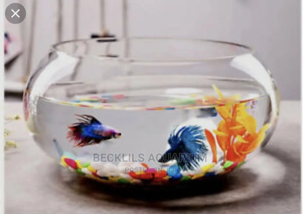 Glass Bowl Package