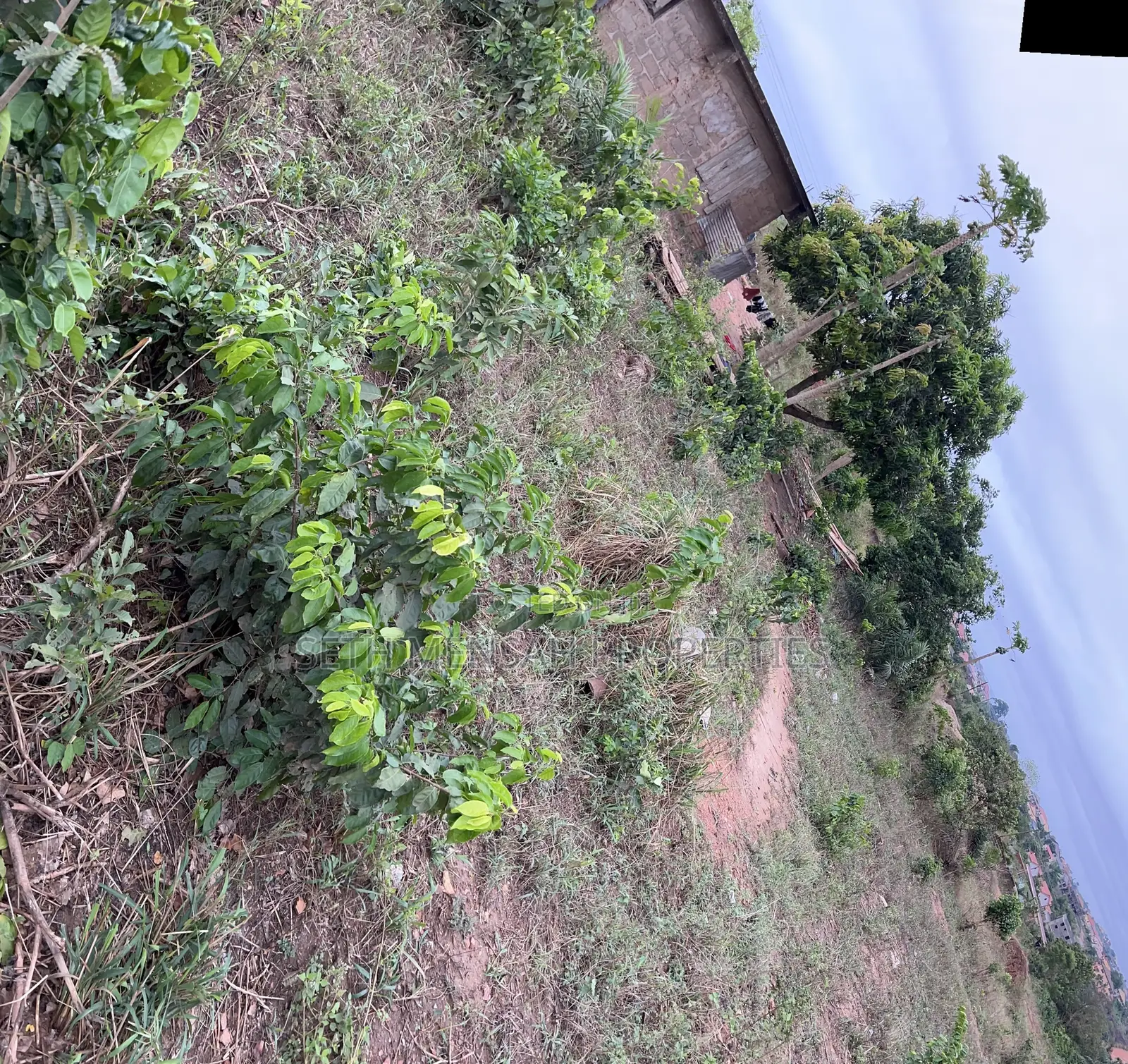 Land for Sale at Berekusu