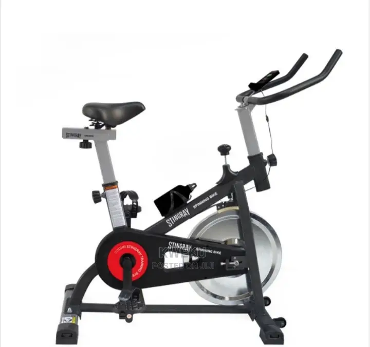 Stingray Spinning Bike