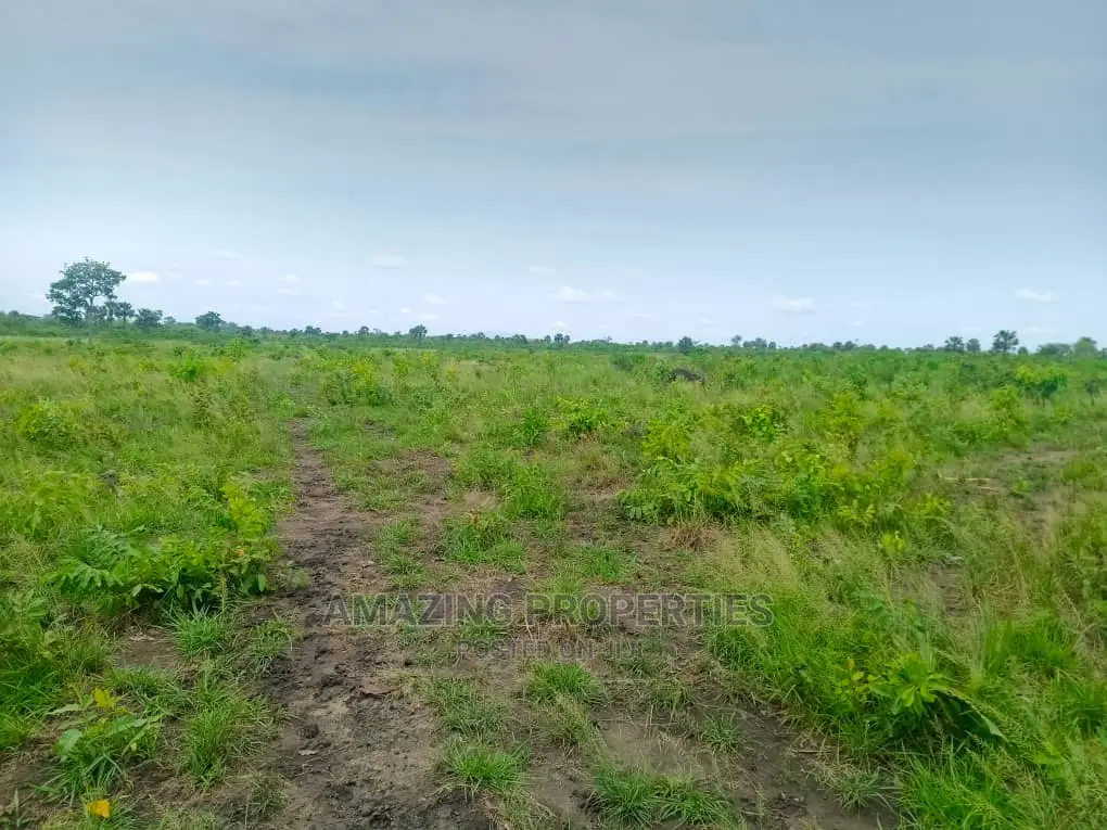5000+ Acres Farm/Agricultural Land Ekumfi Central Region