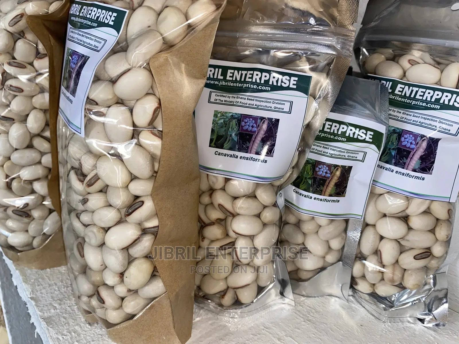 Jack Beans (Canavalia Ensiformis)
