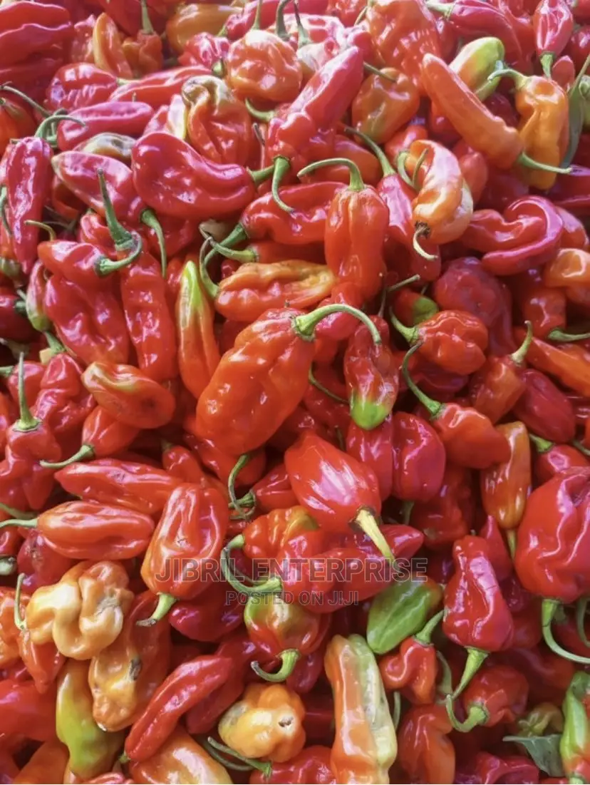 Ghost Pepper, Nmoko Hwem(Flavored Pepper)