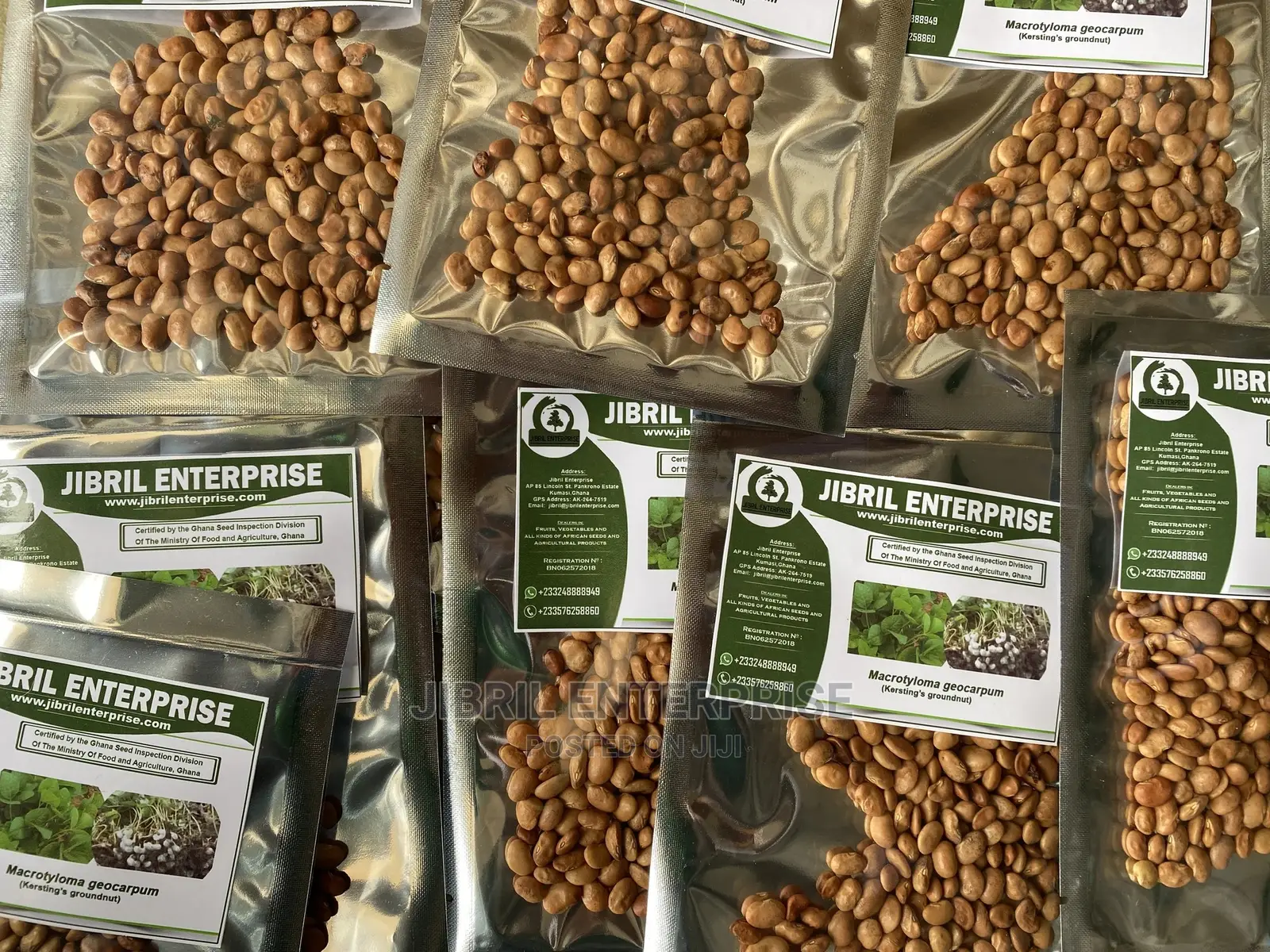 Brown Kersting’S Groundnut (Macrotyloma Geocarpum)