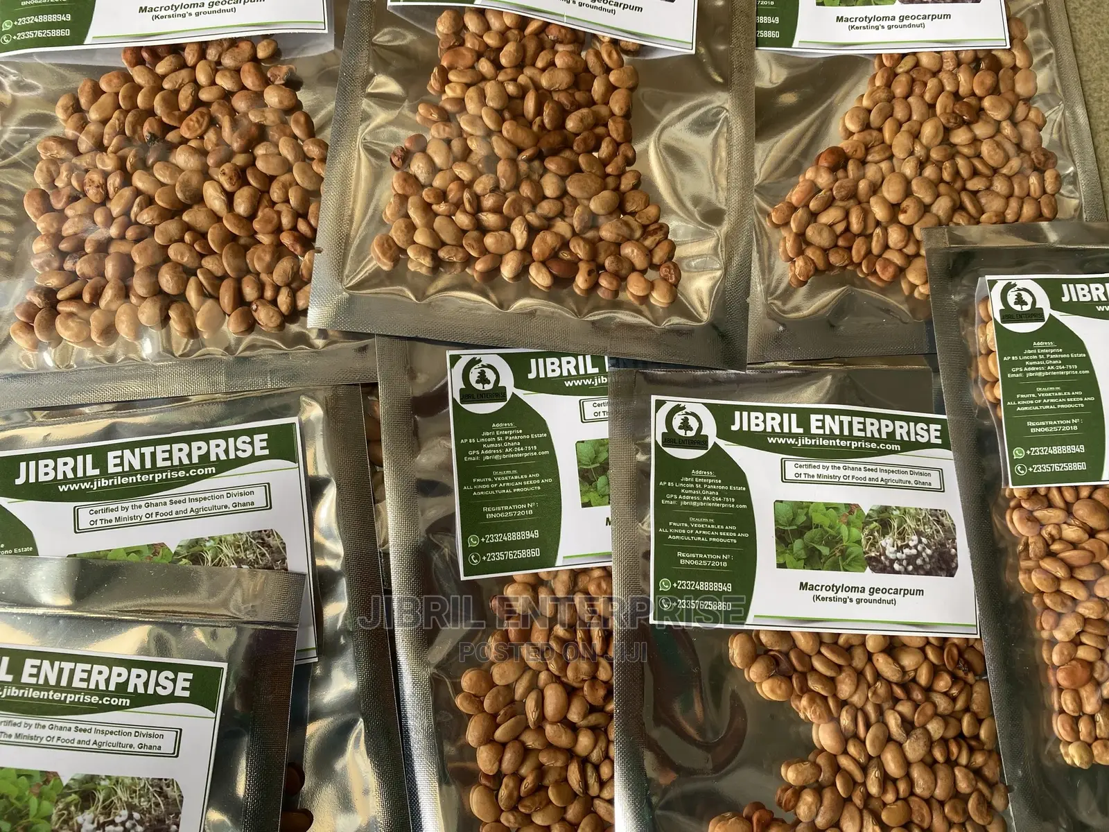 Brown Kersting’S Groundnut (Macrotyloma Geocarpum)