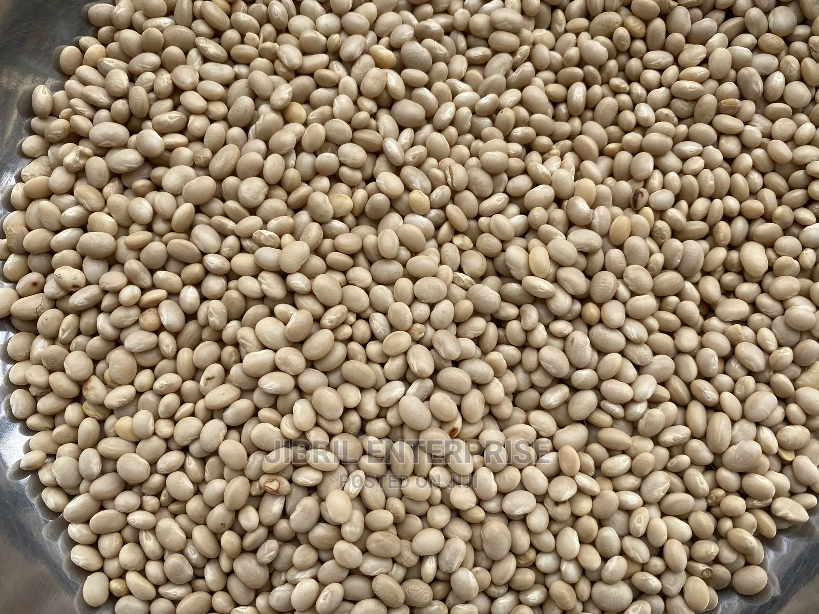 Macrotyloma Geocarpum(Kersting’S Groundnut)