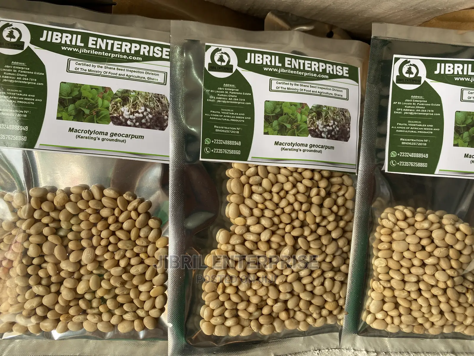 Macrotyloma Geocarpum(Kersting’S Groundnut)