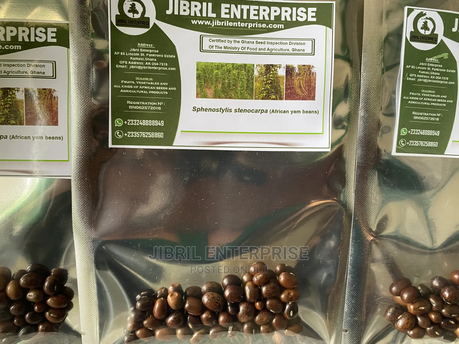 African Yam Beans(Sphenostylis Stenocarpa)