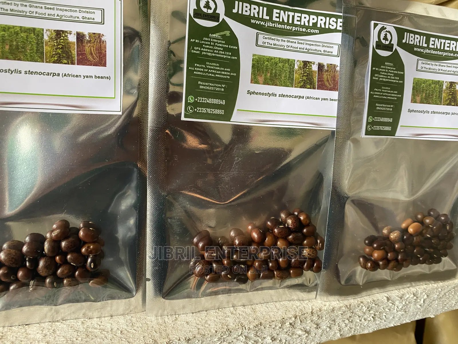 African Yam Beans(Sphenostylis Stenocarpa)