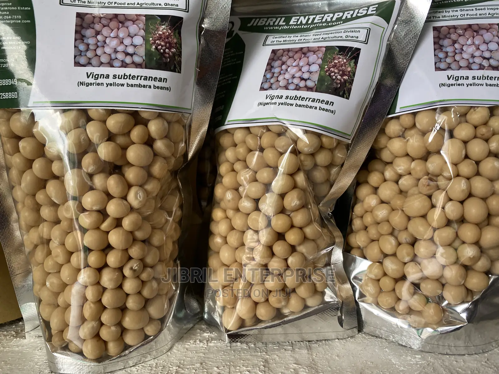 Nigerien Yellow Bambara Beans
