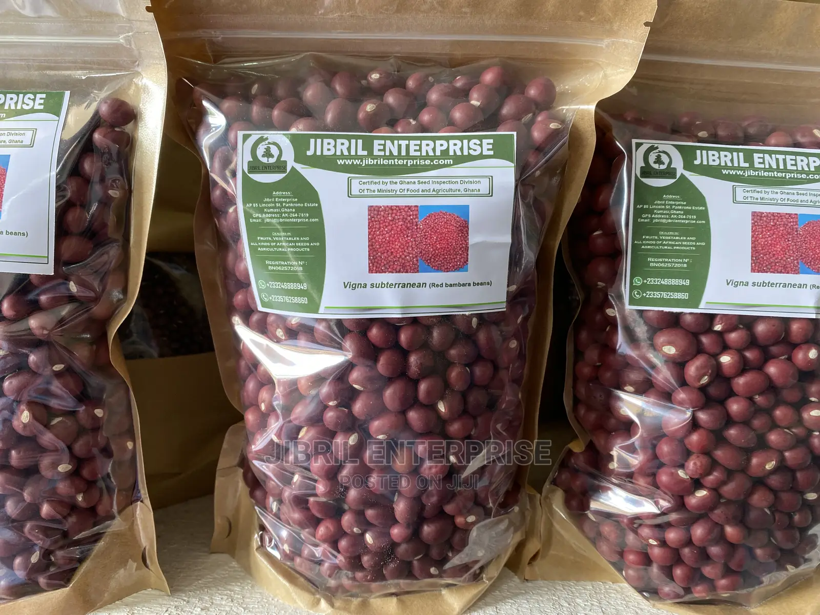 Red Bambara Bean(Vigna Subterranean)