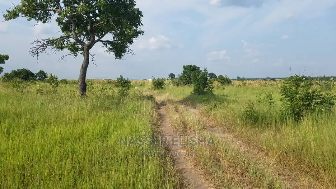 Farm Lands for Sale at KOMENDA