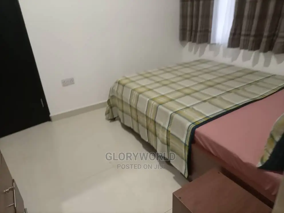 Furnished 2 Bedroom Apartment at Spintex - Community 18