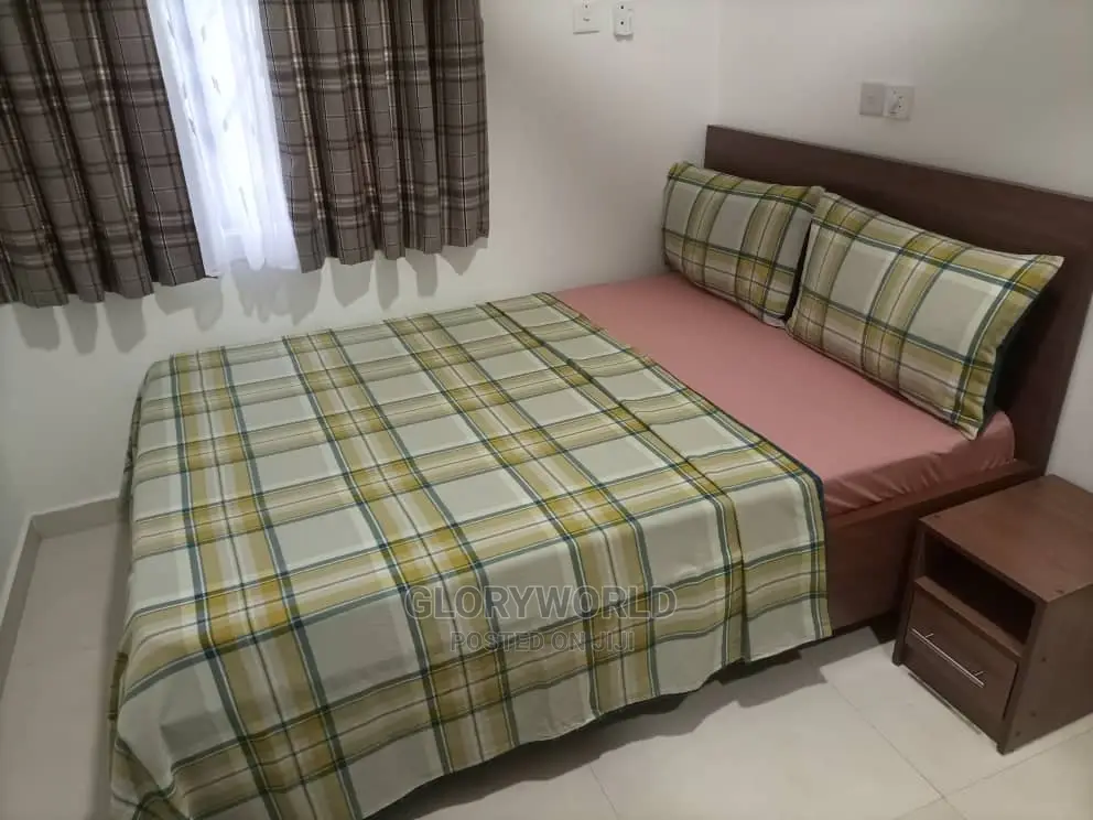 Furnished 2 Bedroom Apartment at Spintex - Community 18